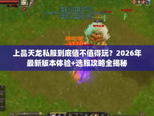 上品天龙私服到底值不值得玩?2026年最新版本体验+选服攻略全揭秘 上品天龙私服到底值不值得玩?2026年最新版本体验+选服攻略全揭秘