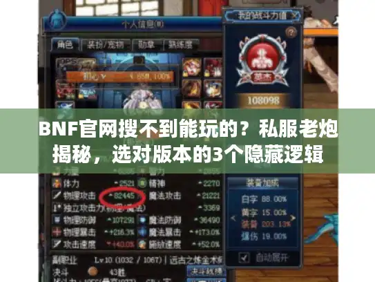 BNF官网搜不到能玩的?私服老炮揭秘,选对版本的3个隐藏逻辑 BNF官网搜不到能玩的?私服老炮揭秘,选对版本的3个隐藏逻辑