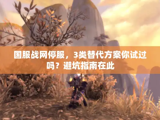 国服战网停服，3类替代方案你试过吗？避坑指南在此