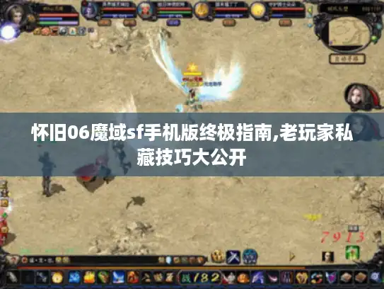 怀旧06魔域sf手机版终极指南,老玩家私藏技巧大公开