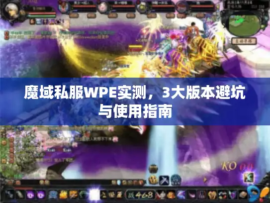 魔域私服WPE实测，3大版本避坑与使用指南