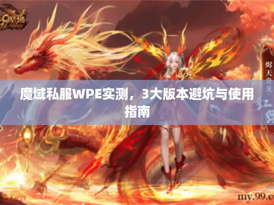 魔域私服WPE实测，3大版本避坑与使用指南