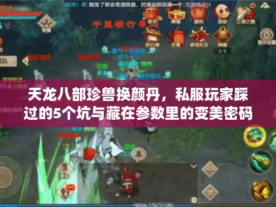 天龙八部珍兽换颜丹，私服玩家踩过的5个坑与藏在参数里的变美密码