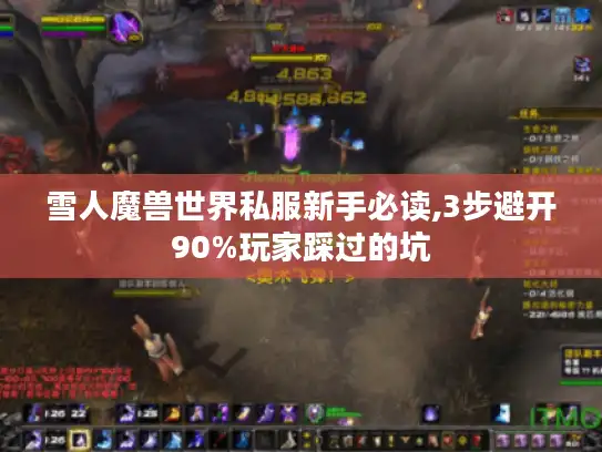 雪人魔兽世界私服新手必读,3步避开90%玩家踩过的坑