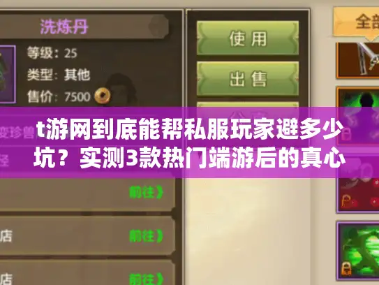 t游网到底能帮私服玩家避多少坑？实测3款热门端游后的真心话