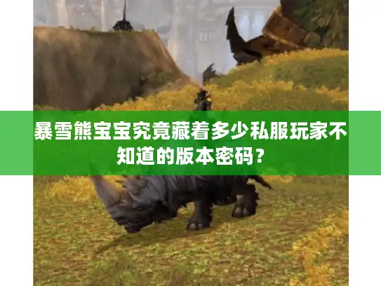 暴雪熊宝宝究竟藏着多少私服玩家不知道的版本密码？