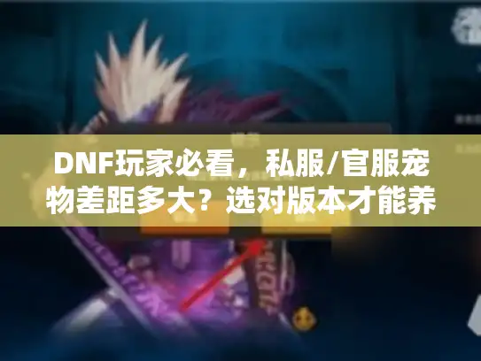 DNF玩家必看，私服/官服宠物差距多大？选对版本才能养出毕业神宠