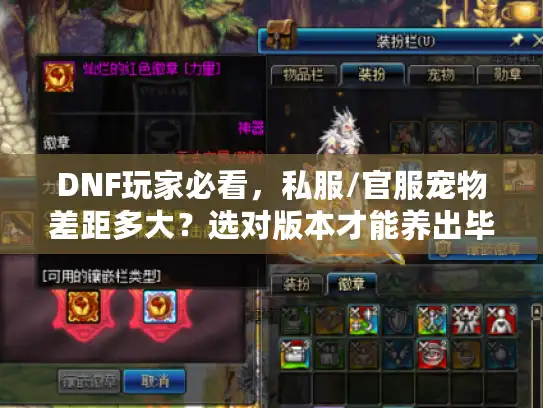 DNF玩家必看，私服/官服宠物差距多大？选对版本才能养出毕业神宠