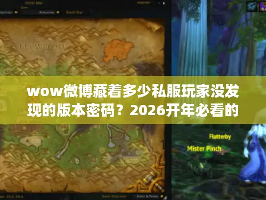 wow微博藏着多少私服玩家没发现的版本密码？2026开年必看的选服攻略