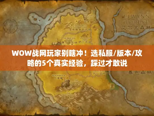 WOW战网玩家别瞎冲!选私服/版本/攻略的5个真实经验,踩过才敢说 WOW战网玩家别瞎冲!选私服/版本/攻略的5个真实经验,踩过才敢说