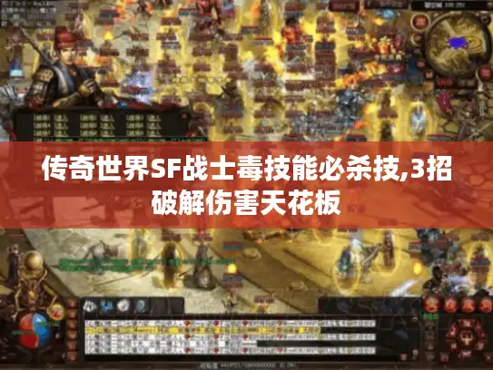 传奇世界SF战士毒技能必杀技,3招破解伤害天花板