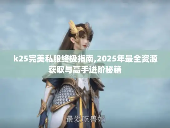 k25完美私服终极指南,2025年最全资源获取与高手进阶秘籍
