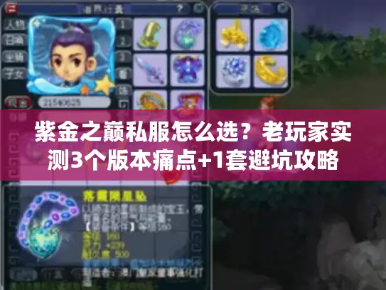 紫金之巅私服怎么选？老玩家实测3个版本痛点+1套避坑攻略