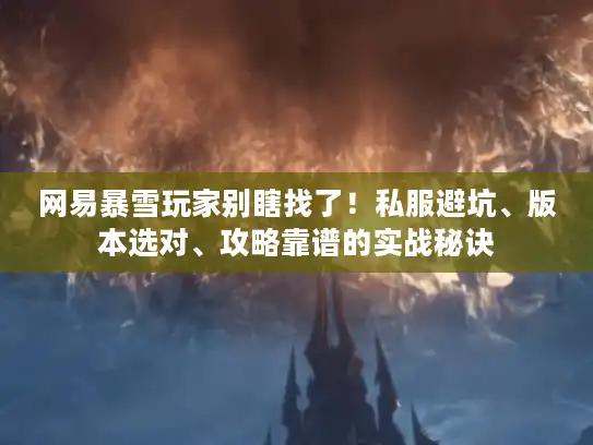 网易暴雪玩家别瞎找了！私服避坑、版本选对、攻略靠谱的实战秘诀