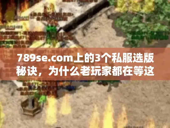 789se.com上的3个私服选版秘诀,为什么老玩家都在等这波更新? 789se.com上的3个私服选版秘诀,为什么老玩家都在等这波更新?