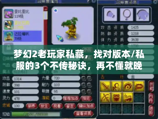 梦幻2老玩家私藏，找对版本/私服的3个不传秘诀，再不懂就晚了！