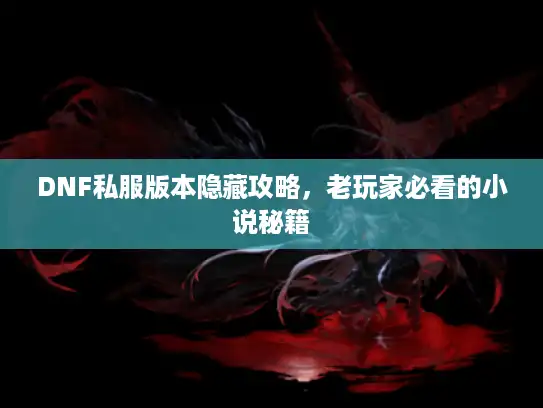 DNF私服版本隐藏攻略，老玩家必看的小说秘籍