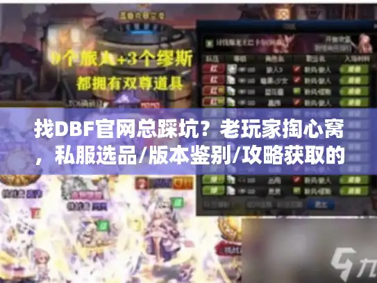 找DBF官网总踩坑？老玩家掏心窝，私服选品/版本鉴别/攻略获取的4个不传技巧