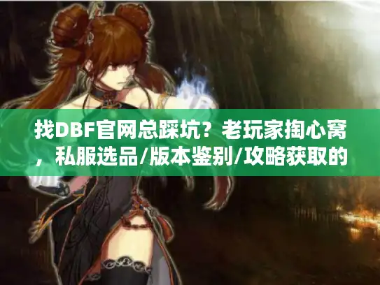 找DBF官网总踩坑？老玩家掏心窝，私服选品/版本鉴别/攻略获取的4个不传技巧