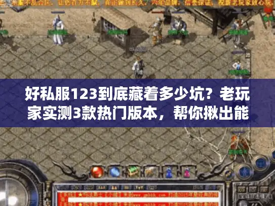 好私服123到底藏着多少坑？老玩家实测3款热门版本，帮你揪出能玩的活服