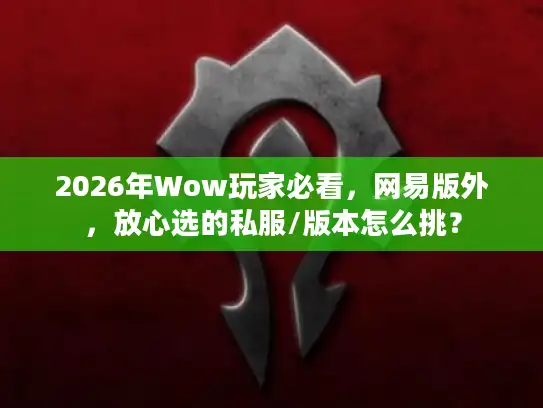 2026年Wow玩家必看，网易版外，放心选的私服/版本怎么挑？