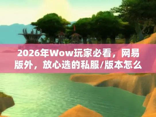 2026年Wow玩家必看，网易版外，放心选的私服/版本怎么挑？
