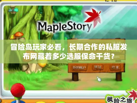 冒险岛玩家必看，长期合作的私服发布网藏着多少选服保命干货？