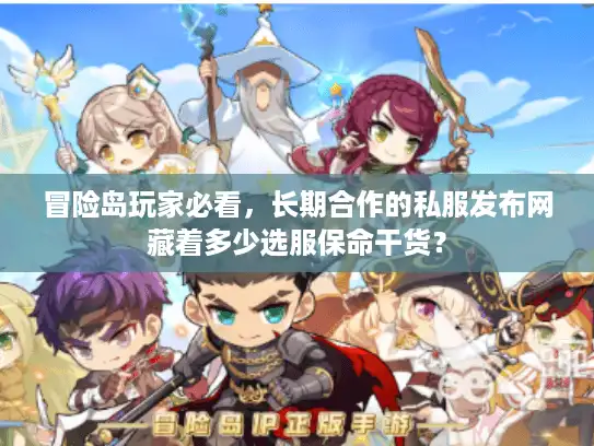冒险岛玩家必看，长期合作的私服发布网藏着多少选服保命干货？