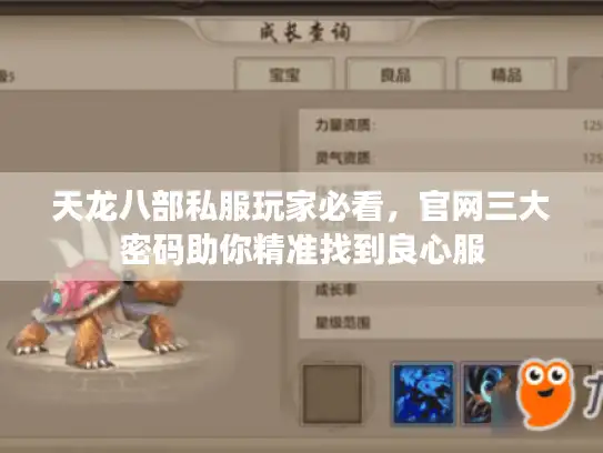 天龙八部私服玩家必看,官网三大密码助你精准找到良心服 天龙八部私服玩家必看,官网三大密码助你精准找到良心服