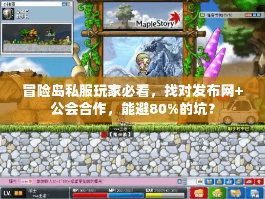 冒险岛私服玩家必看，找对发布网+公会合作，能避80%的坑？