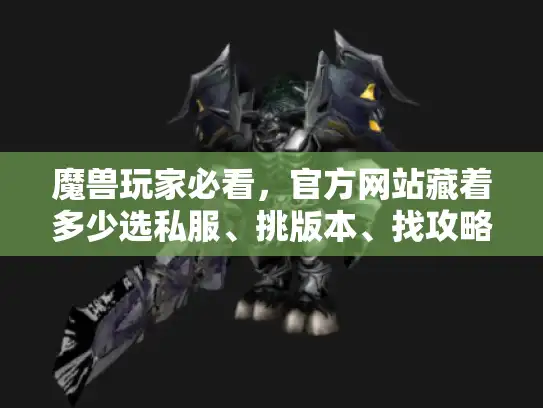 魔兽玩家必看，官方网站藏着多少选私服、挑版本、找攻略的关键密码？