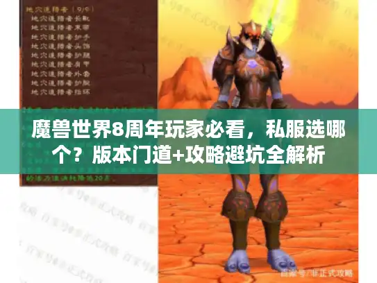 魔兽世界8周年玩家必看，私服选哪个？版本门道+攻略避坑全解析