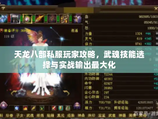 天龙八部私服玩家攻略，武魂技能选择与实战输出最大化