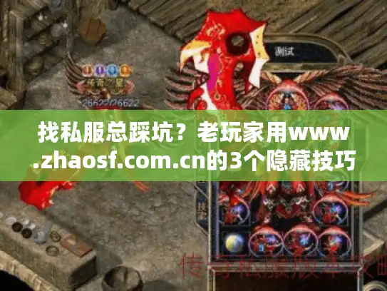 找私服总踩坑？老玩家用www.zhaosf.com.cn的3个隐藏技巧，直接锁定靠谱版本