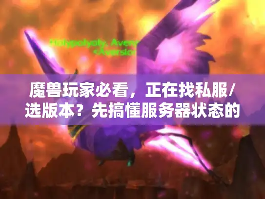 魔兽玩家必看,正在找私服/选版本?先搞懂服务器状态的3个隐藏门道 魔兽玩家必看,正在找私服/选版本?先搞懂服务器状态的3个隐藏门道