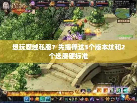 想玩魔域私服？先搞懂这3个版本坑和2个选服硬标准