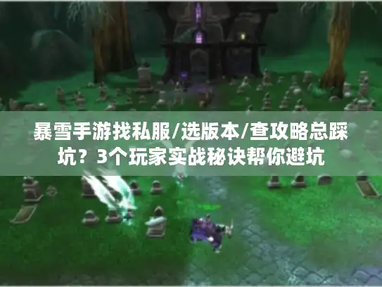 暴雪手游找私服/选版本/查攻略总踩坑？3个玩家实战秘诀帮你避坑