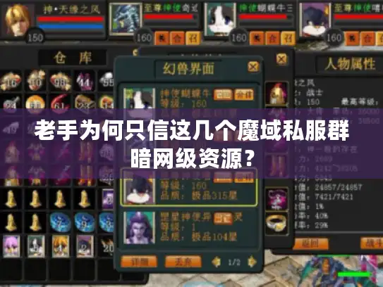 老手为何只信这几个魔域私服群暗网级资源？