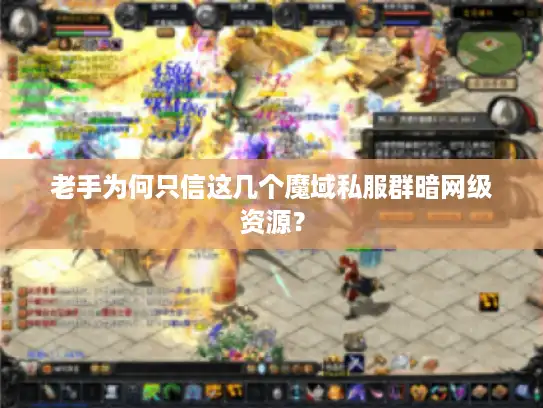 老手为何只信这几个魔域私服群暗网级资源？