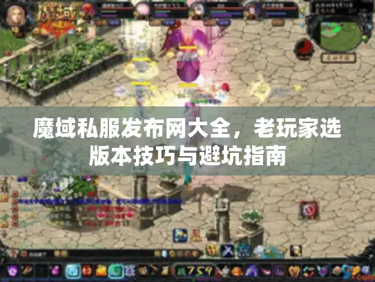 魔域私服发布网大全，老玩家选版本技巧与避坑指南