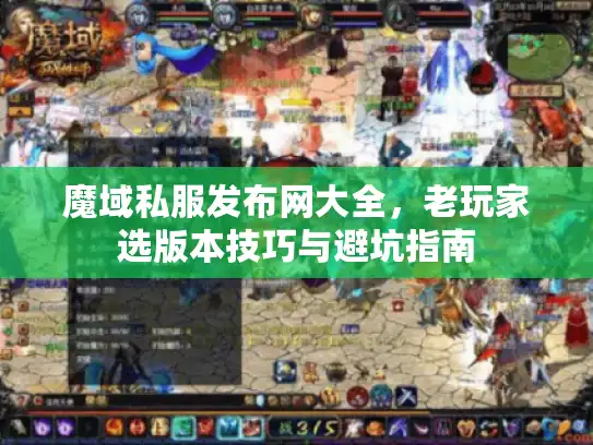 魔域私服发布网大全，老玩家选版本技巧与避坑指南