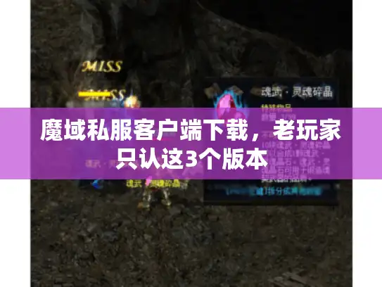 魔域私服客户端下载,老玩家只认这3个版本 魔域私服客户端下载,老玩家只认这3个版本