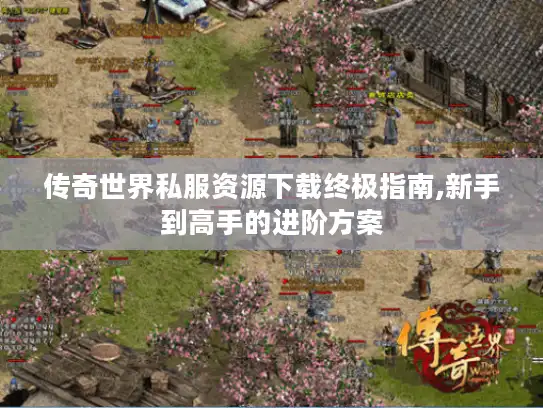 传奇世界私服资源下载终极指南,新手到高手的进阶方案