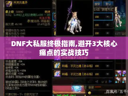 DNF大私服终极指南,避开3大核心痛点的实战技巧