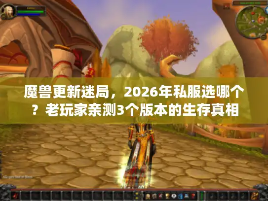 魔兽更新迷局，2026年私服选哪个？老玩家亲测3个版本的生存真相