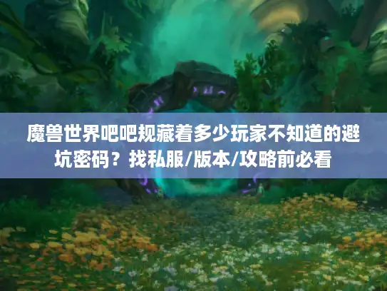 魔兽世界吧吧规藏着多少玩家不知道的避坑密码？找私服/版本/攻略前必看