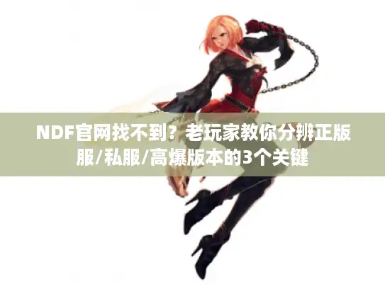 NDF官网找不到？老玩家教你分辨正版服/私服/高爆版本的3个关键