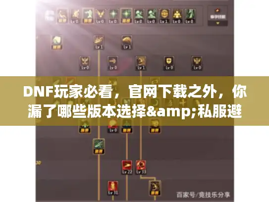 DNF玩家必看，官网下载之外，你漏了哪些版本选择&私服避坑技巧？