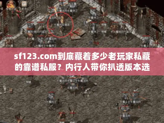 sf123.com到底藏着多少老玩家私藏的靠谱私服？内行人带你扒透版本选择玄机
