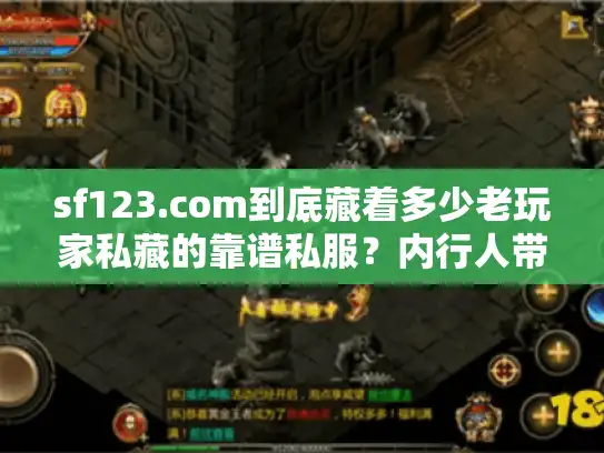 sf123.com到底藏着多少老玩家私藏的靠谱私服？内行人带你扒透版本选择玄机